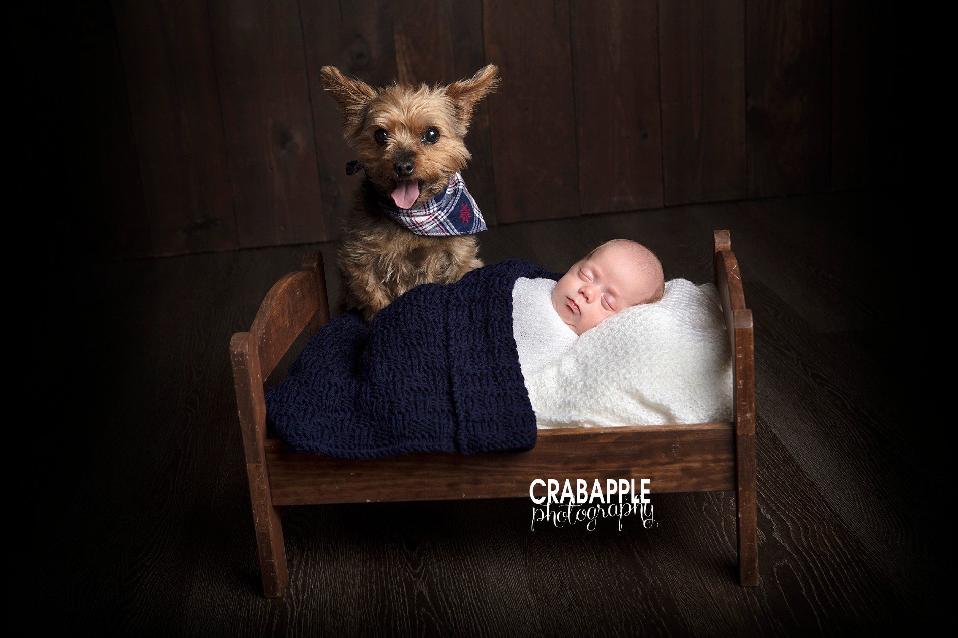 Andover Newborn Photography Studio Mr R Crabapple Photography