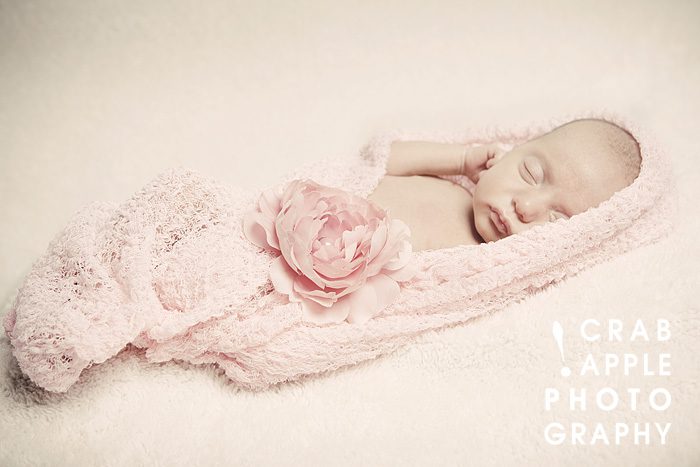 Newborn Photographs