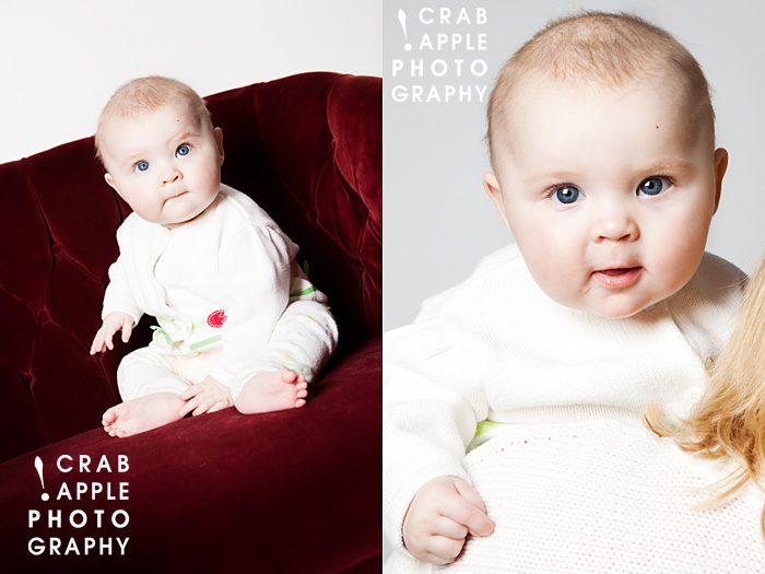 massachusetts baby portraits