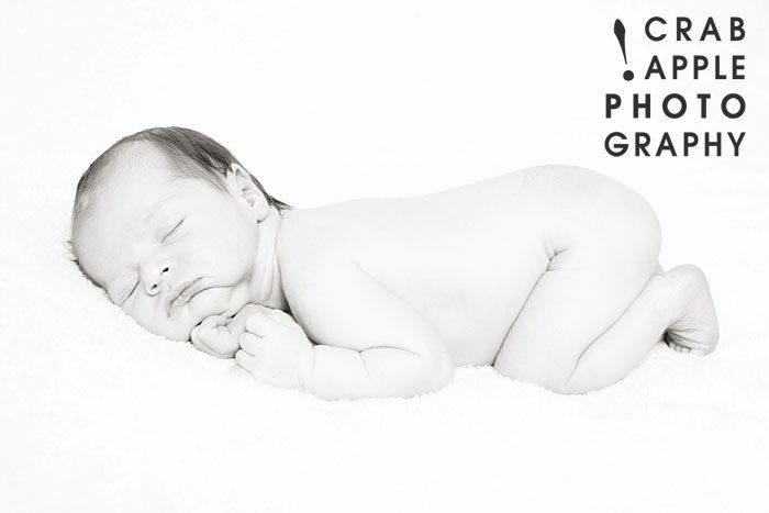 newborn baby portraits