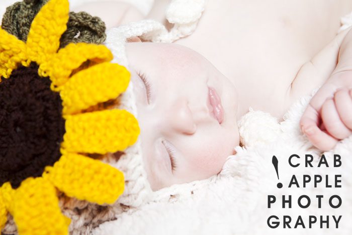 3 month old baby portraits