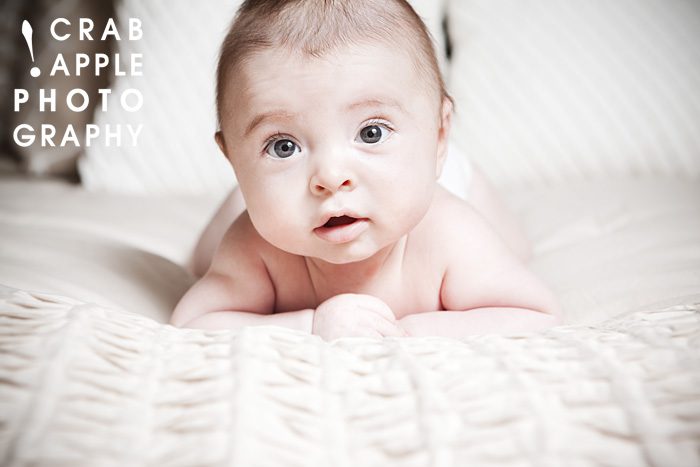 infant photography