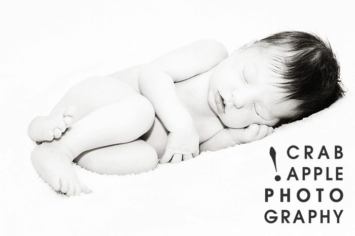 newborn portrait photography