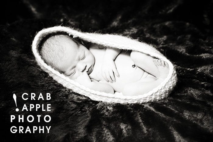 newborn professional photos