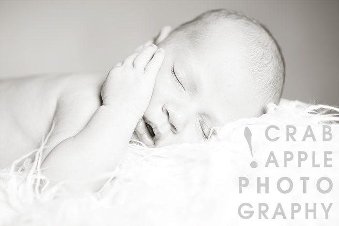 infant baby photography