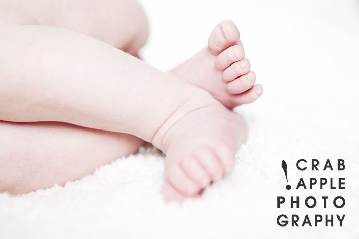 newborn professional photos