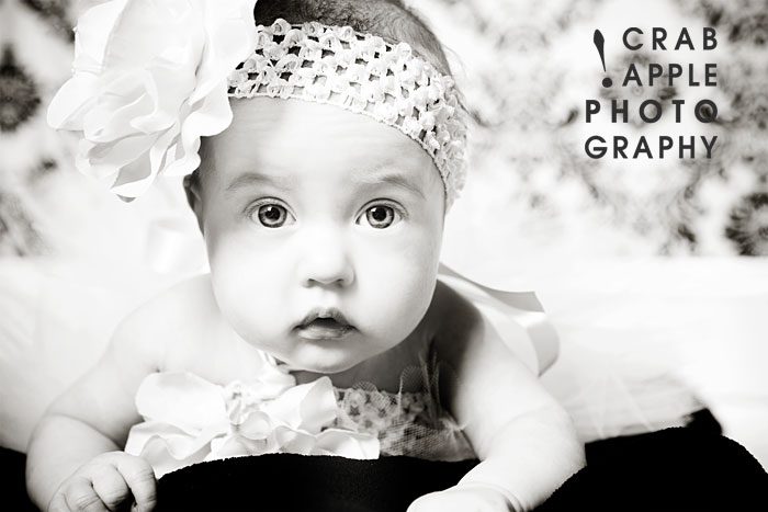 Baby Girl Photographer
