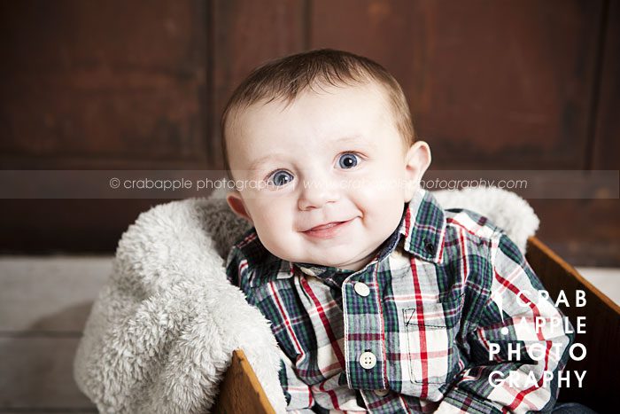 3 month old baby portraits
