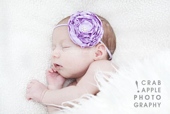 professional newborn photographs