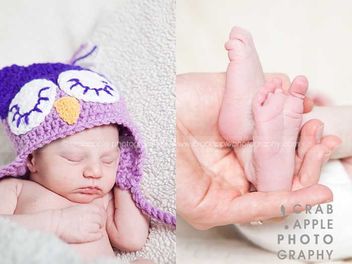 newborn photographer boston