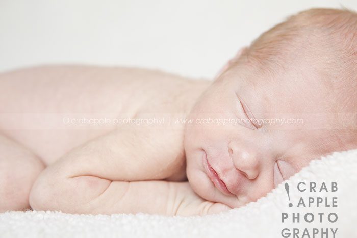 newborn photography boston