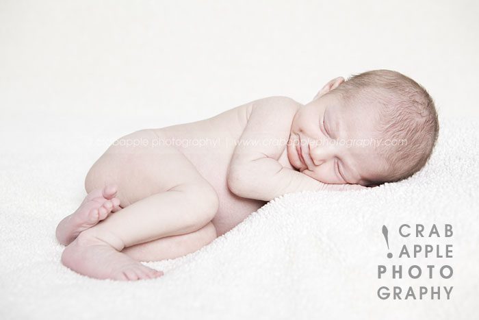 baby newborn portraits