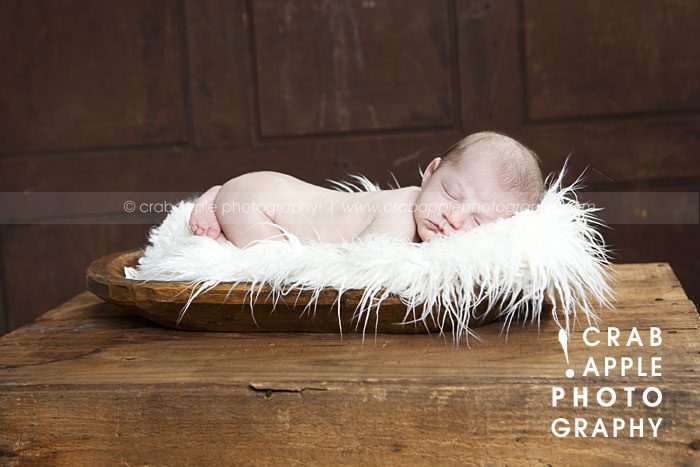 massachusetts newborn photos