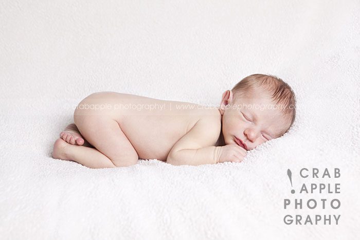 massachusetts newborn photos