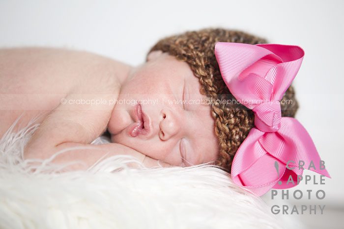 massachusetts newborn portrait photographer