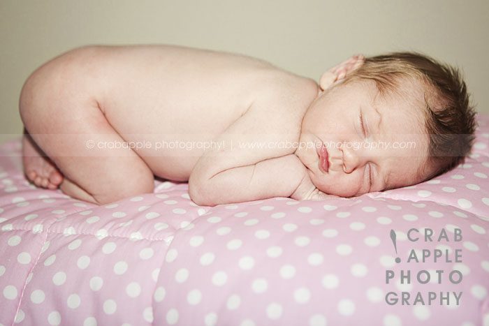 massachusetts newborn photos