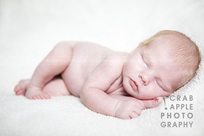 newborn portrait photography