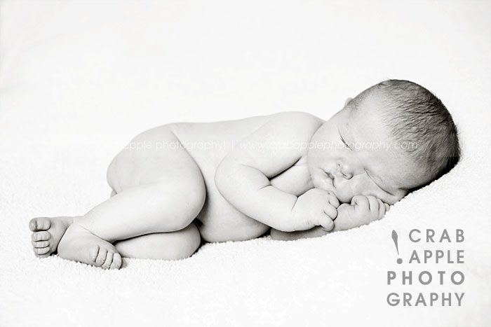 newborn photo studio