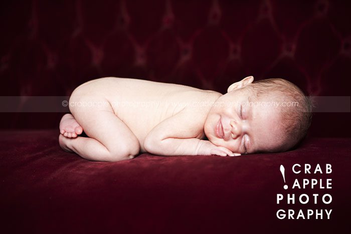 professional newborn photographs
