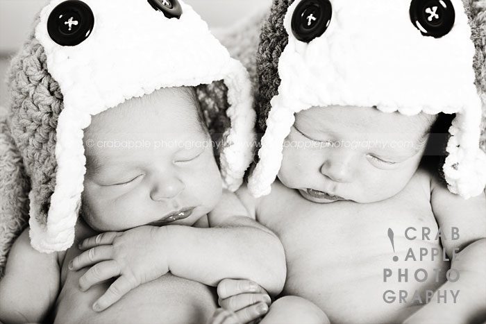 infant boy twin photos