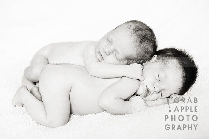 baby twin portraits