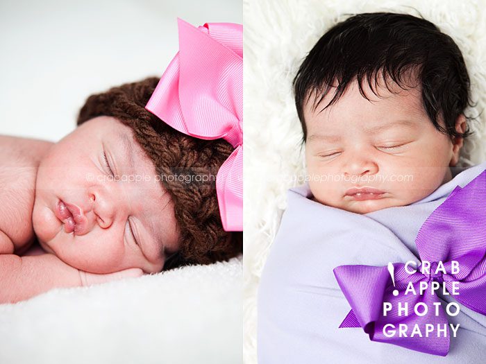 professional newborn photos