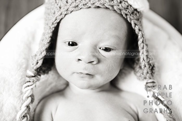 newborn portrait photographer