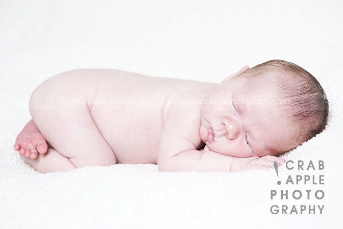 newborn baby portraits