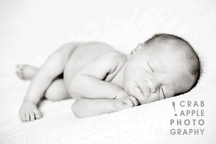 Newborn photographer westford