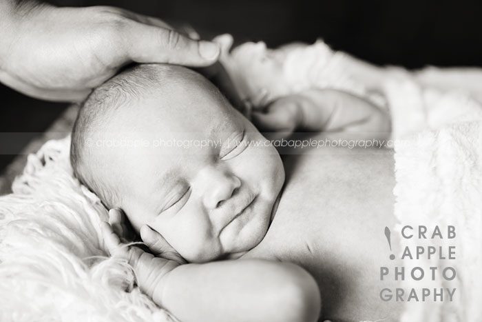 best newborn portrait photographer