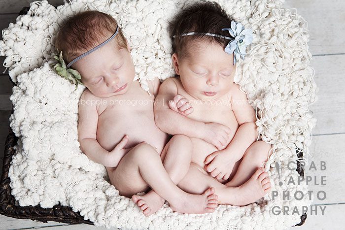 infant girl twin photos