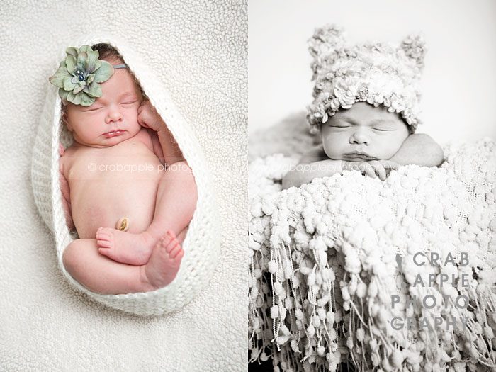 baby newborn portraits