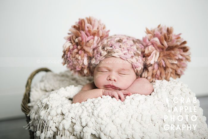 baby newborn photographer