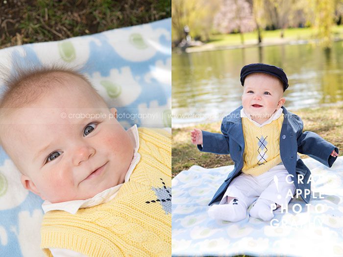 6 month baby portraits