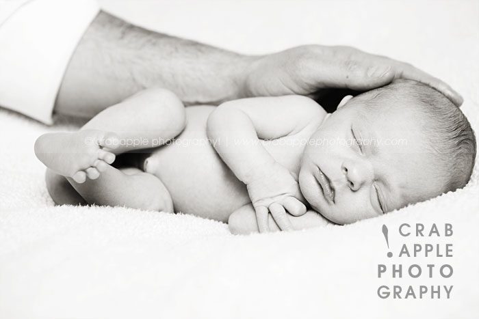 newborn portrait photographer