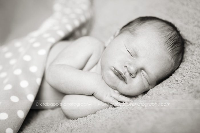 cambridge-newborn-photographer_0046.jpg