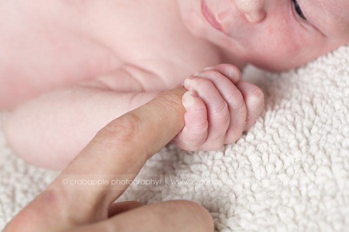 arlington-ma-newborn-photography_0016.jpg arlington-ma-newborn-photography_0016.jpg