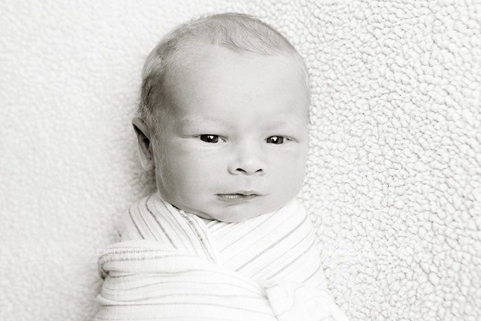 arlington-ma-newborn-photography_0017.jpg arlington-ma-newborn-photography_0017.jpg