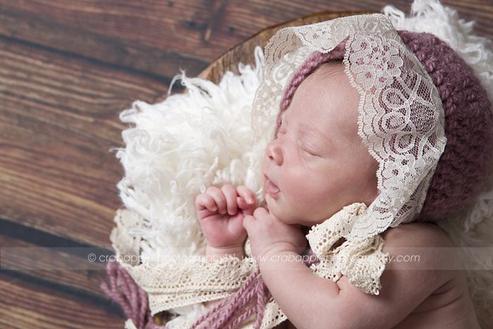 melrose twin newborn photographer