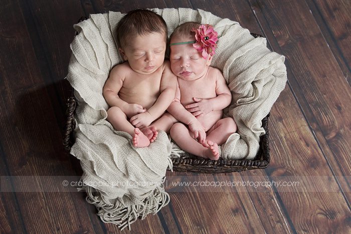 melrose twin newborn photographer