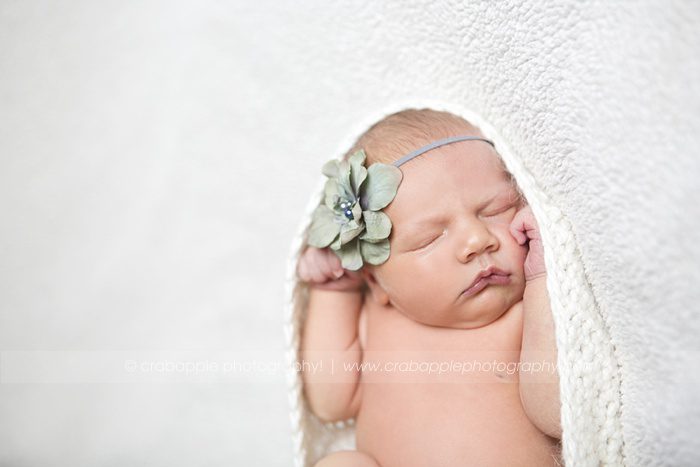 medford newborn photos