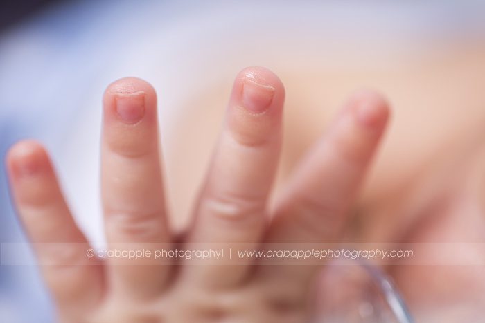 newborn photography close up photos of new baby fingers