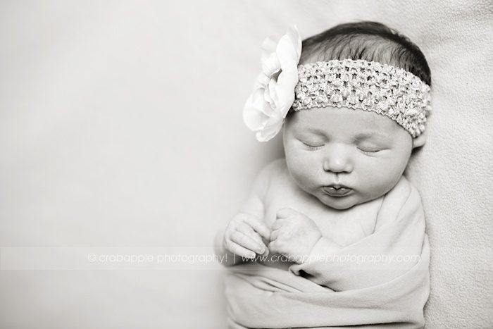 Chelmsford Baby Photographer