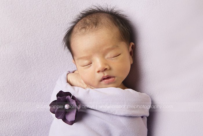 hudson-newborn-photographer_0031.jpg