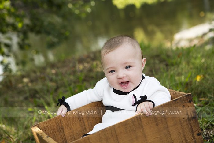 6 month old baby portraits