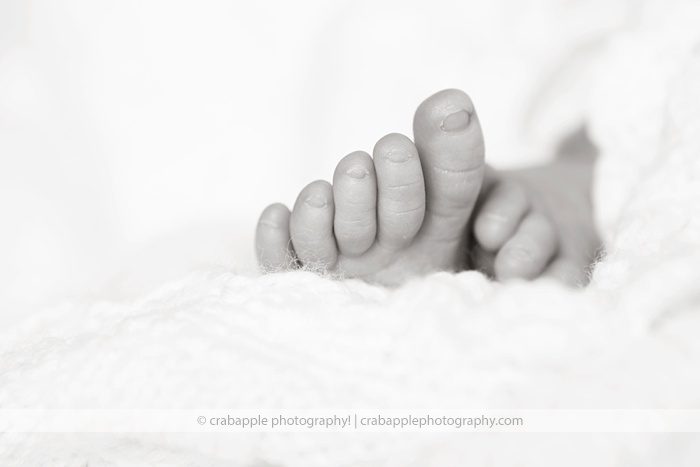 newborn-photos-professional_0070.jpg