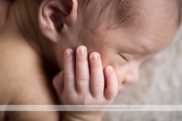 somerville-newborn-photographer_0035