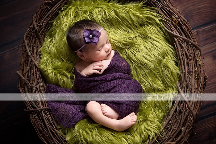 boston-newborn-photographer_0041