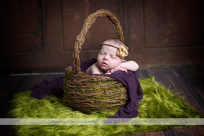 newborn-photographer-medford_0109