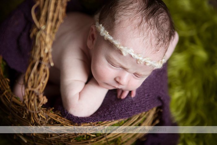 newborn-photographer-medford_0110